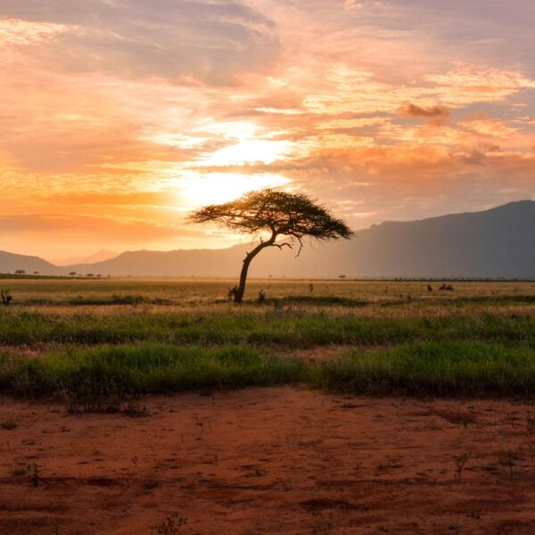 south africa